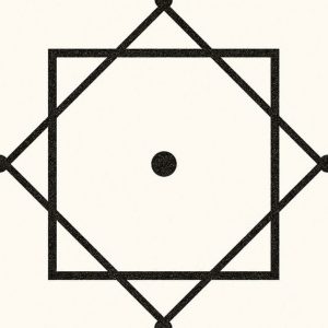 Ladrilho Vodevil Elíseos-R Blanco 20x20cm