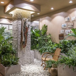 3DTile Pietra Rúvida - Imagem 3