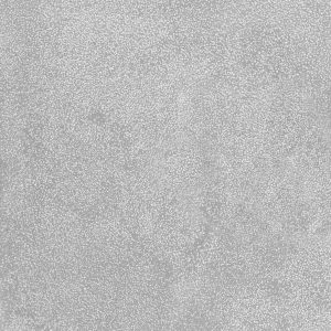 Placa Cimenticia Fulget Cinza Externo 100x100x2,5cm