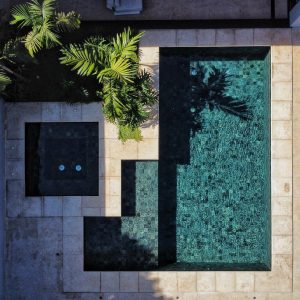 Green Jungle 10x10cm - Imagem 3