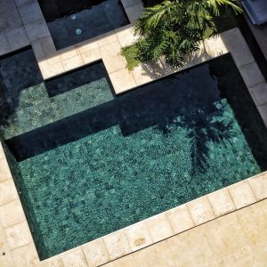 Green Jungle 10x10cm - Imagem 4