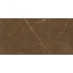 Porcelanato Element Brown Polido 120x240cm