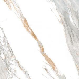 Porcelanato Calacata Dorato Polido 120x120cm