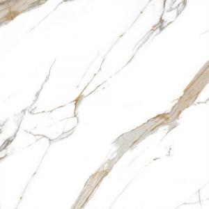 Porcelanato Calacata Dorato Polido 120x120cm - Imagem 3