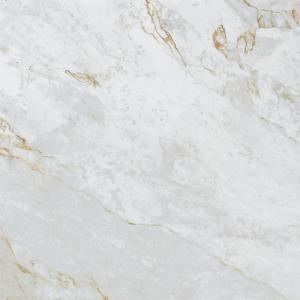 Porcelanato Marmo V. Dorate Acetinado 120x120cm