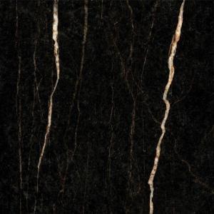 Porcelanato Nero Dorato Polido 120x120cm - Imagem 4