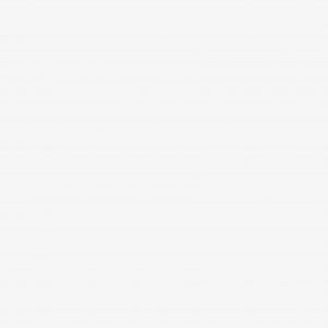 Porcelanato Vives Inari-R Nieve Acetinado 120x120cm