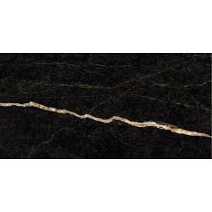 Porcelanato Nero Dorato Polido 60x120cm - Imagem 5