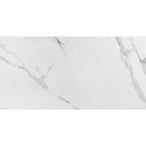 Porcelanato Palato Pace Polido 60x120cm