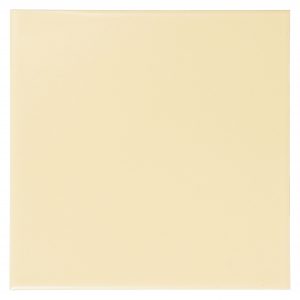 Ladrilho Sunny Acetinado 20x20cm