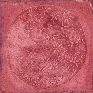 Azulejo Vives Carlo Granate-B 20x20cm