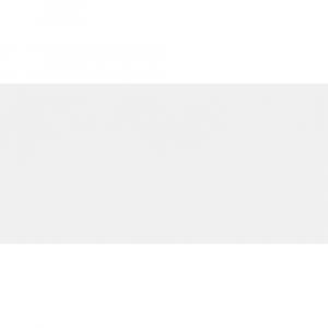 Azulejo Branco Classico Acetinado 7,5x15,5cm